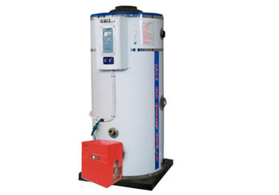 甲醇立式热水锅炉